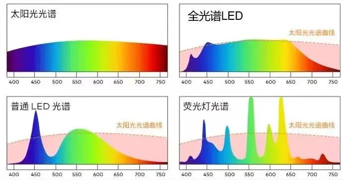 LED教室燈