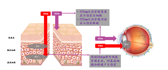 零安芯消毒機